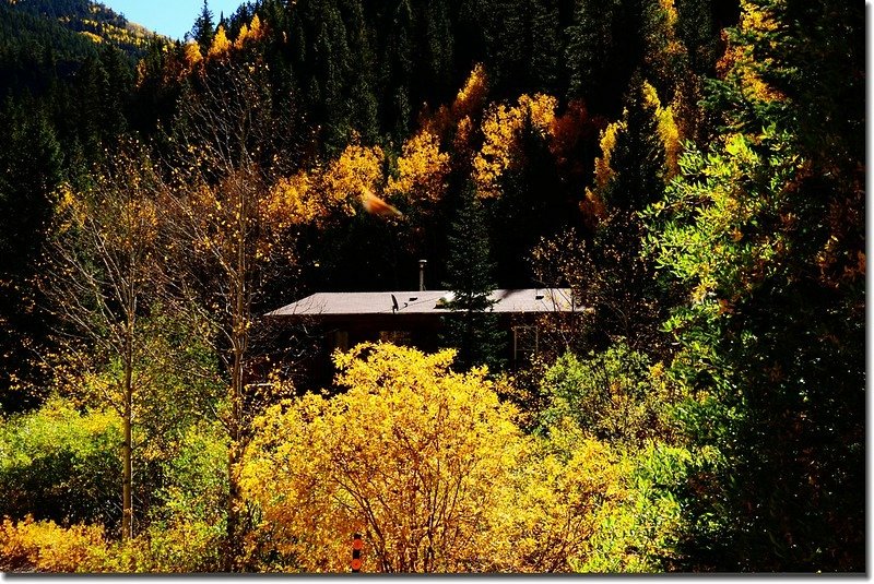 Fall colors, Mount Evans Scenic Byway, Colorado (24)