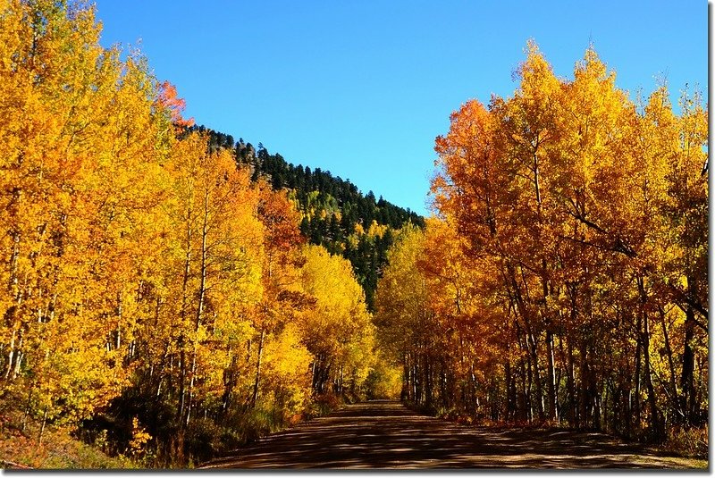 Fall colors, Mount Evans Scenic Byway, Colorado (23)