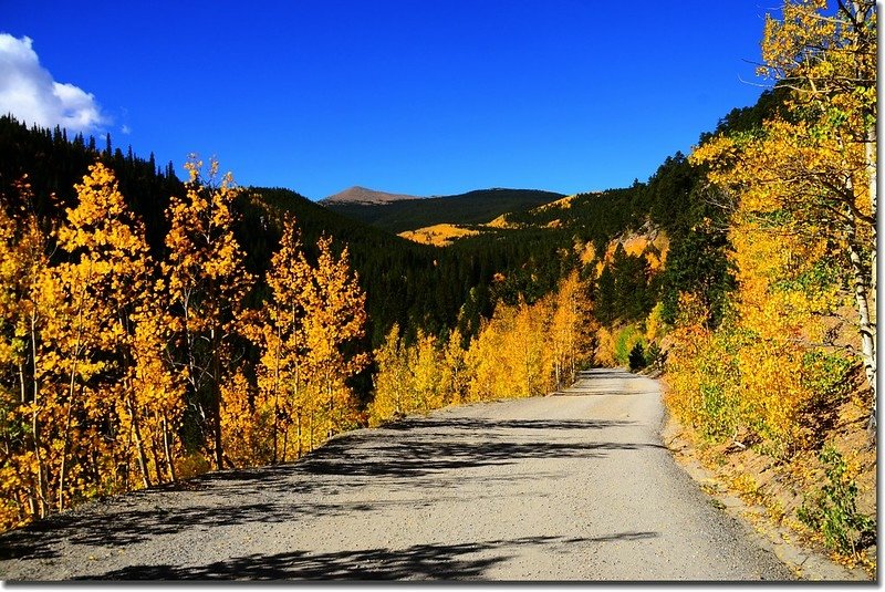 Fall colors, Mount Evans Scenic Byway, Colorado (22)