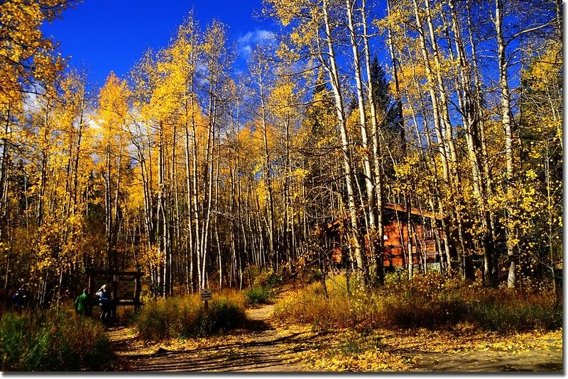 Fall colors, Mount Evans Scenic Byway, Colorado (21)