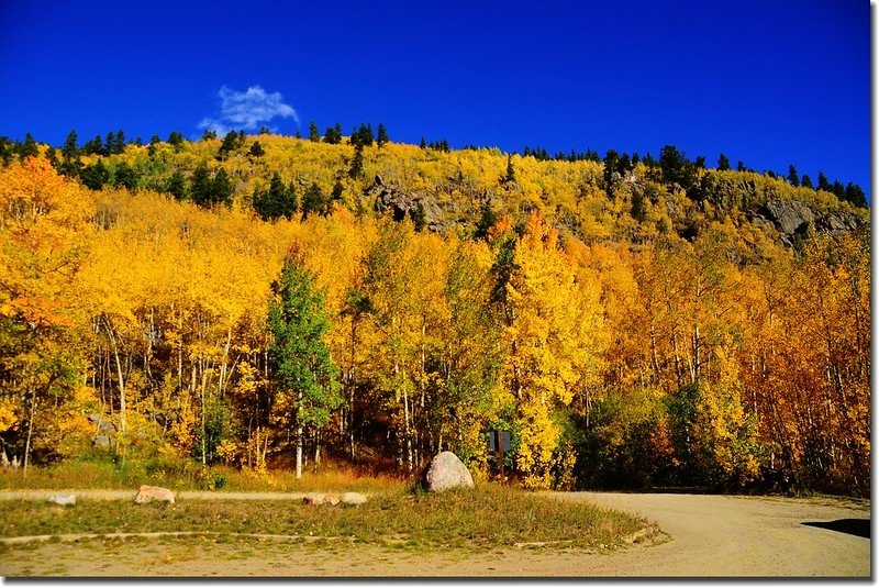 Fall colors, Mount Evans Scenic Byway, Colorado (20)