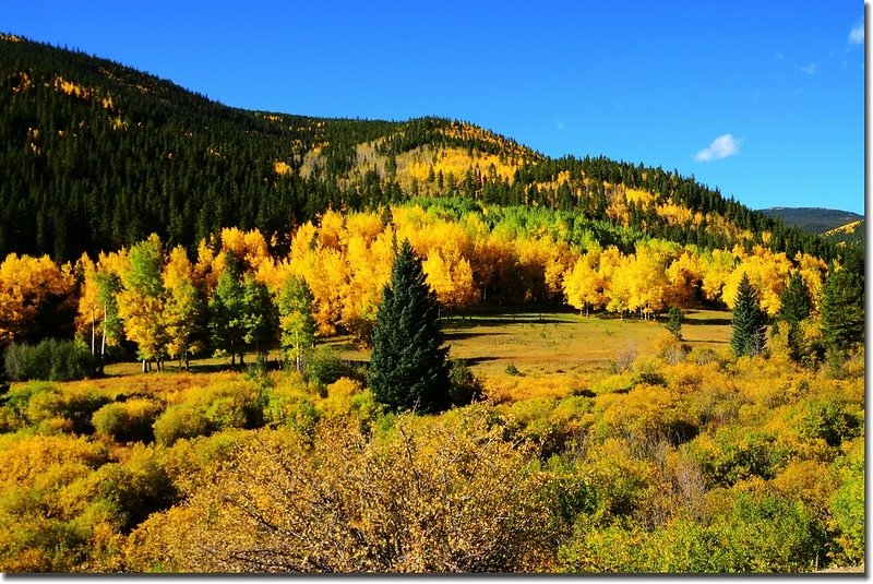 Fall colors, Mount Evans Scenic Byway, Colorado (16)