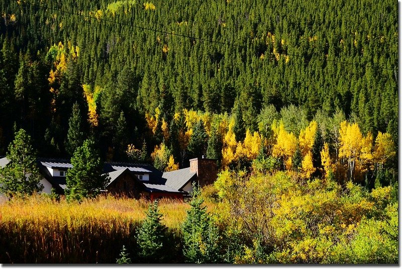 Fall colors, Mount Evans Scenic Byway, Colorado (15)