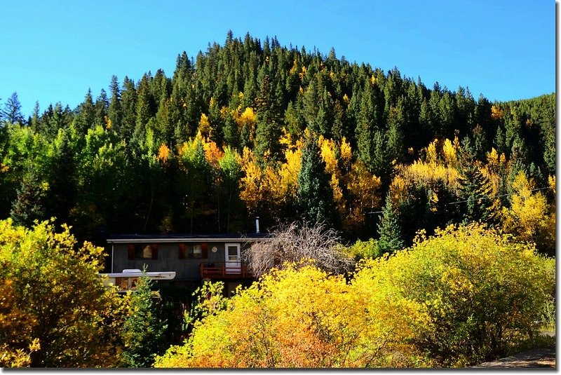 Fall colors, Mount Evans Scenic Byway, Colorado (5)