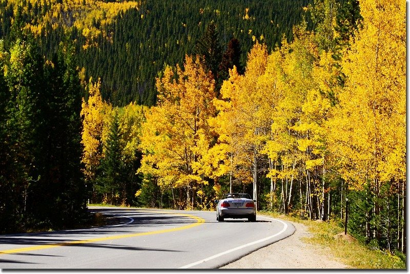 Fall colors, Mount Evans Scenic Byway, Colorado (54)