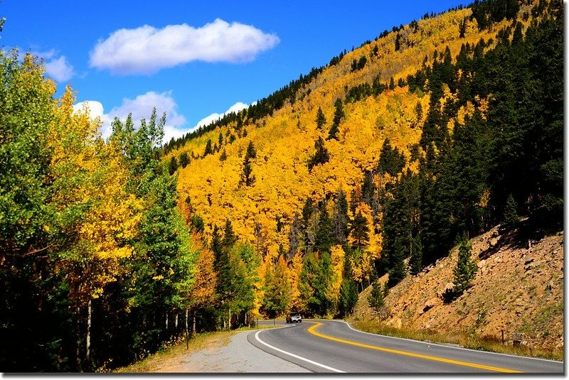 Fall colors, Mount Evans Scenic Byway, Colorado (52)