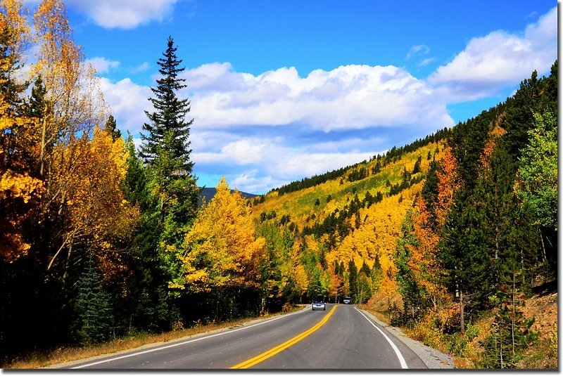 Fall colors, Mount Evans Scenic Byway, Colorado (51)