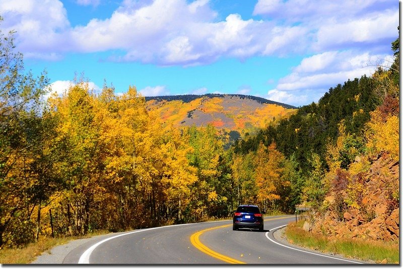 Fall colors, Mount Evans Scenic Byway, Colorado (50)