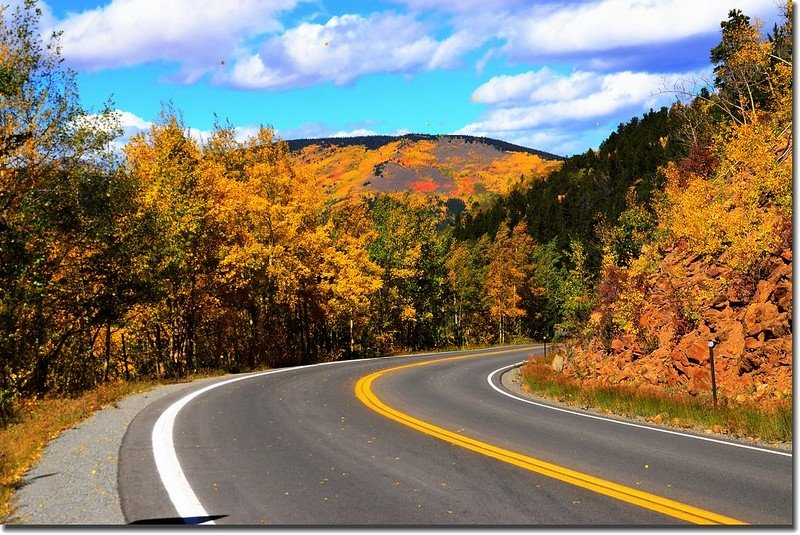 Fall colors, Mount Evans Scenic Byway, Colorado (48)