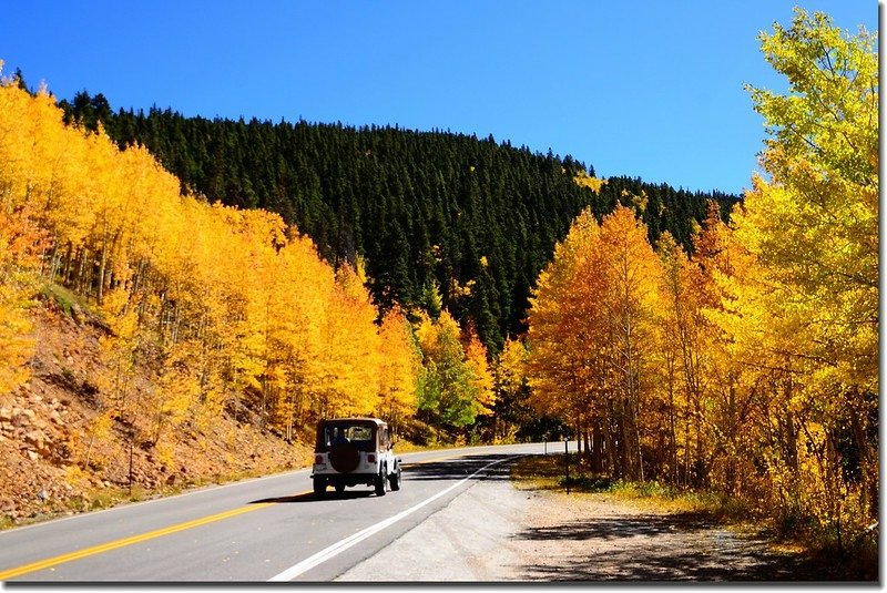 Fall colors, Mount Evans Scenic Byway, Colorado (47)