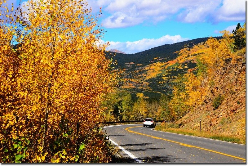 Fall colors, Mount Evans Scenic Byway, Colorado (46)