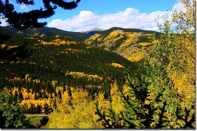 Fall colors, Mount Evans Scenic Byway, Colorado (44)