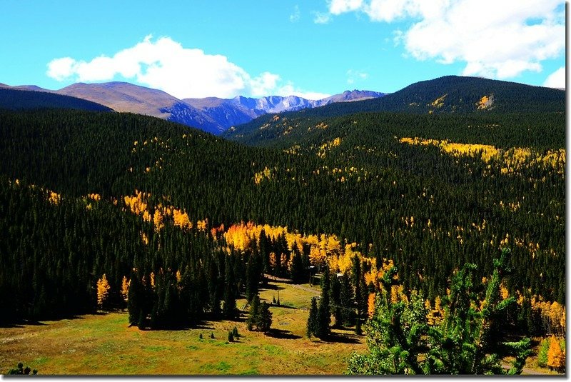 Fall colors, Mount Evans Scenic Byway, Colorado (43)