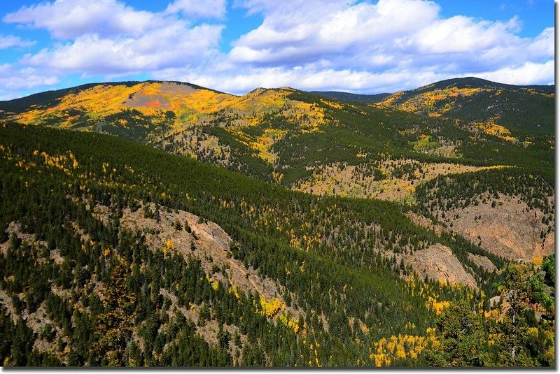 Fall colors, Mount Evans Scenic Byway, Colorado (39)