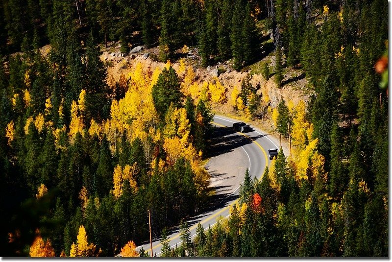 Fall colors, Mount Evans Scenic Byway, Colorado (38)