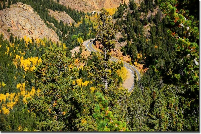 Fall colors, Mount Evans Scenic Byway, Colorado (36)