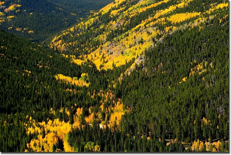 Fall colors, Mount Evans Scenic Byway, Colorado (34)