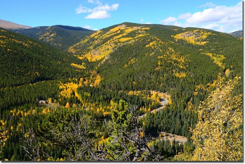 Fall colors, Mount Evans Scenic Byway, Colorado (31)