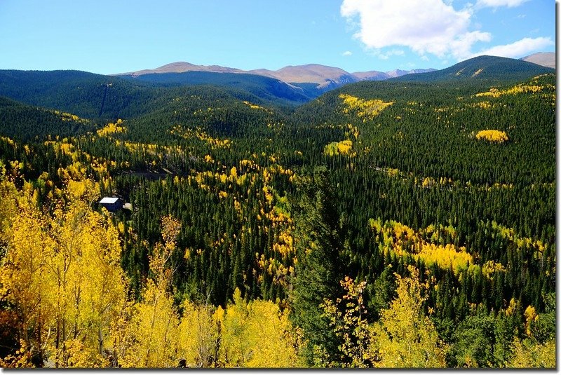 Fall colors, Mount Evans Scenic Byway, Colorado (30)