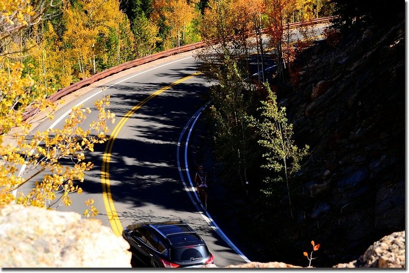 Fall colors, Mount Evans Scenic Byway, Colorado (28)