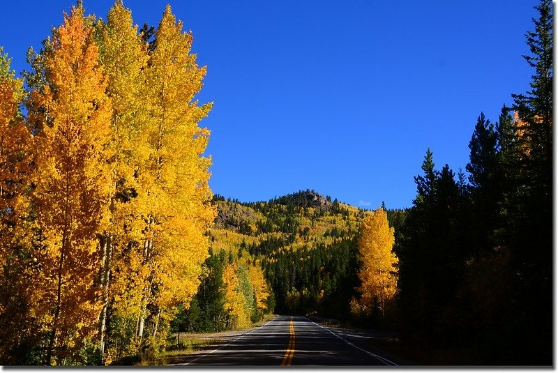 Fall colors, Mount Evans Scenic Byway, Colorado (25)