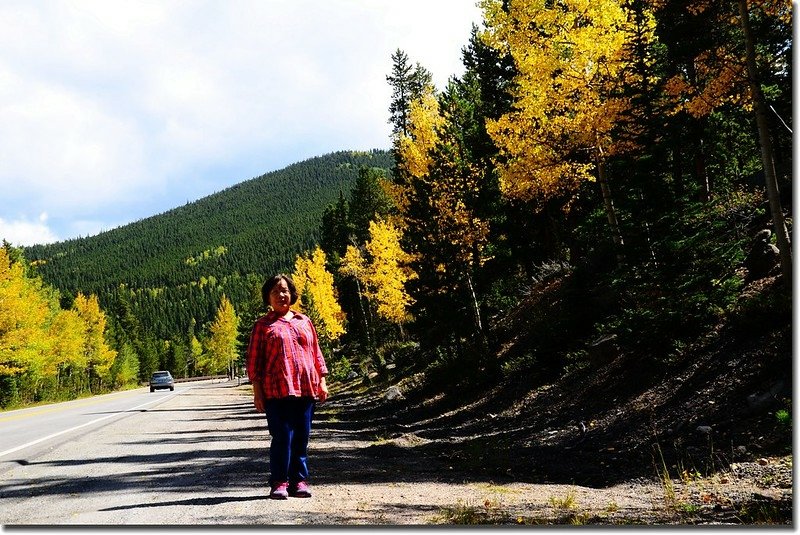 Fall colors, Mount Evans Scenic Byway, Colorado (14)