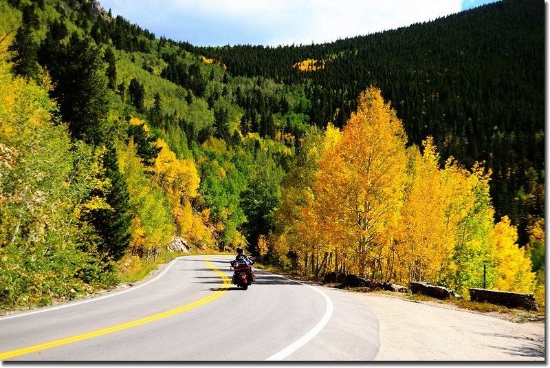 Fall colors, Mount Evans Scenic Byway, Colorado (13)