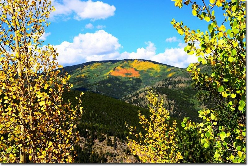 Fall colors, Mount Evans Scenic Byway, Colorado (12)