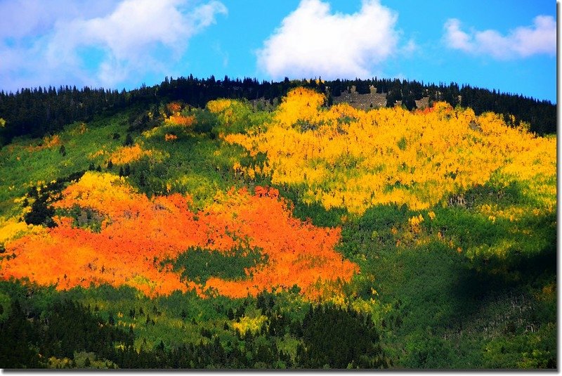 Fall colors, Mount Evans Scenic Byway, Colorado (7)