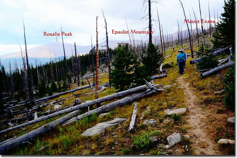 Mount Evans from Lincoln Lake burn area 1