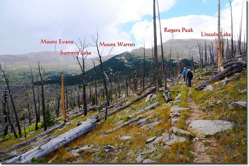 Mount Evans from Lincoln Lake burn area 3