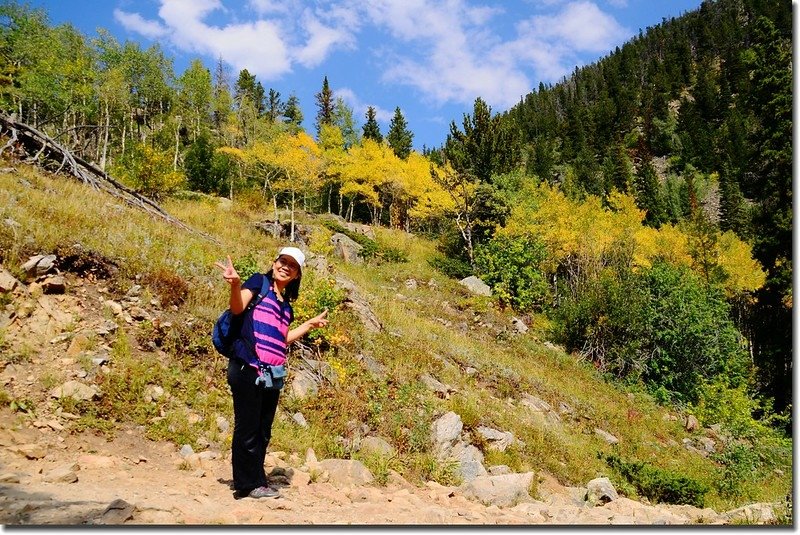 Taken from the trail up to Lost Lake, aspen leaves are turning yellow 2