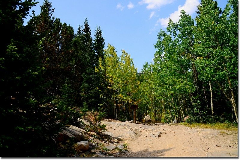 Lost Lake Trail junction