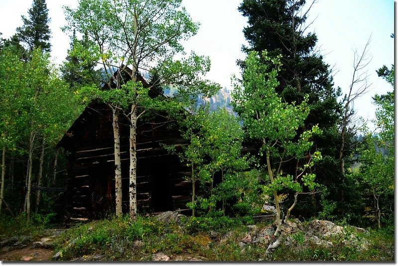 Abandoned Cabin at Hessie townsite 2