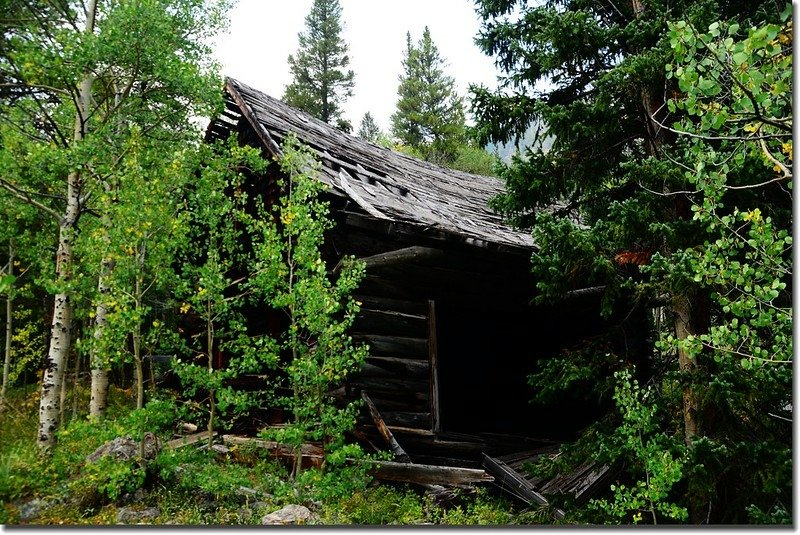 Abandoned Cabin at Hessie townsite 1