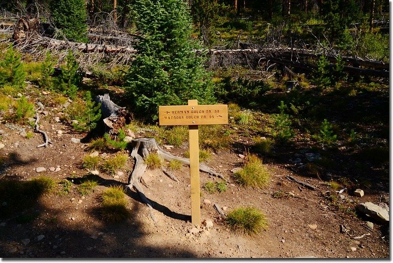 Herman Gulch Trail &amp; Watrous Gulch Trail junction 2