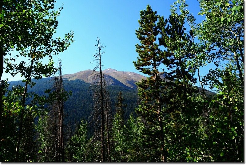 Mount Sniktau as seen from Herman Gulch Trail 1