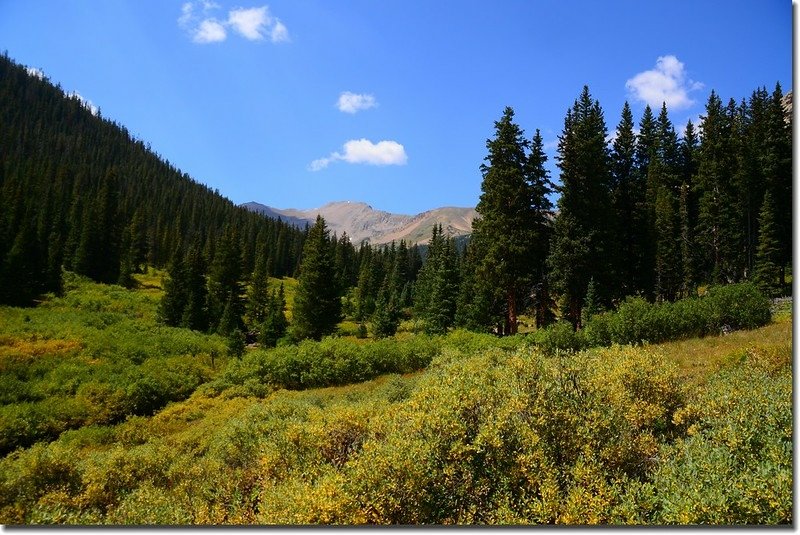 Pentingell Peak from Herman Gulch Trail 4