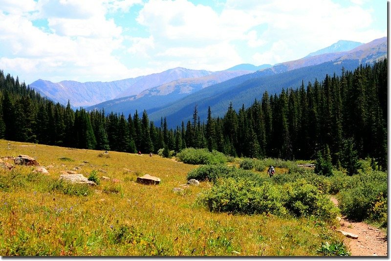 Facing southeast from Herman Lake trail, Torreys Peak and the Kelso Ridge in the distance 3