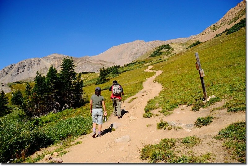 Herman Lake &amp; Jones Pass Trail junction 1