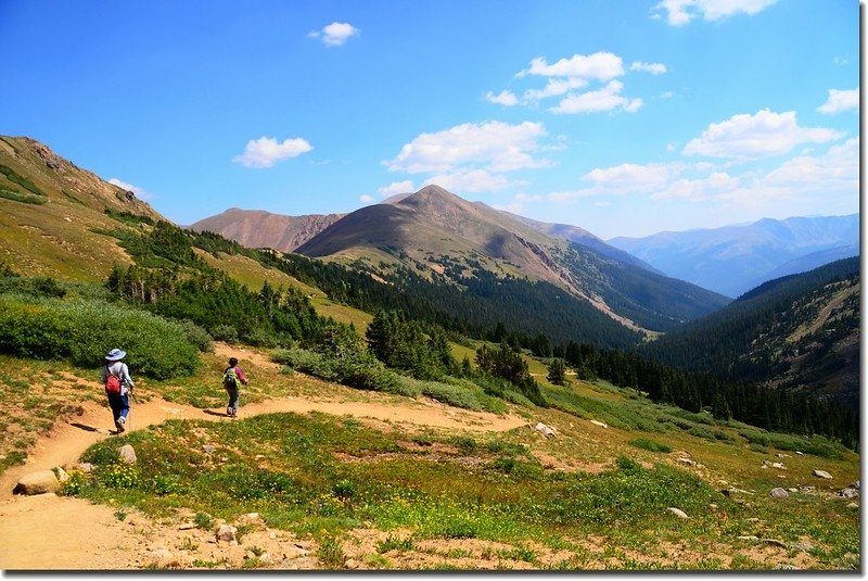 Facing east from Herman Lake trail, Mount Parnassus in the distance 1