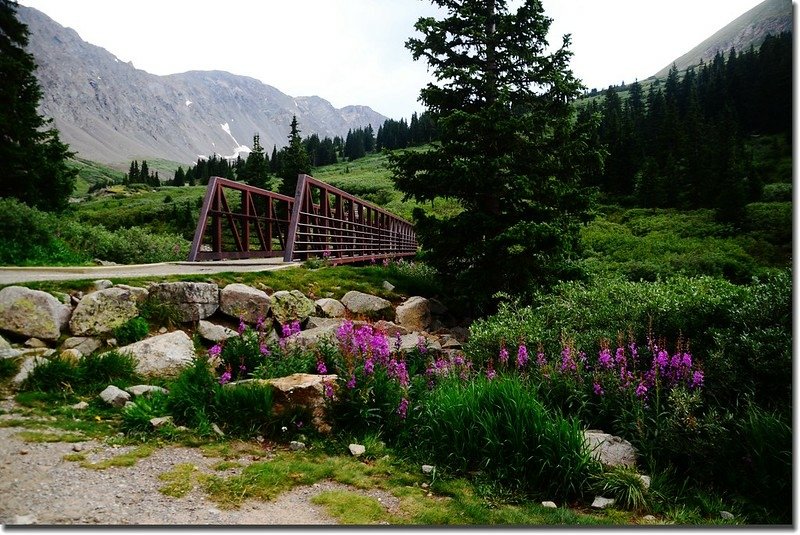 The hike begins by crossing the creek in Stevens Gulch on this great bridge