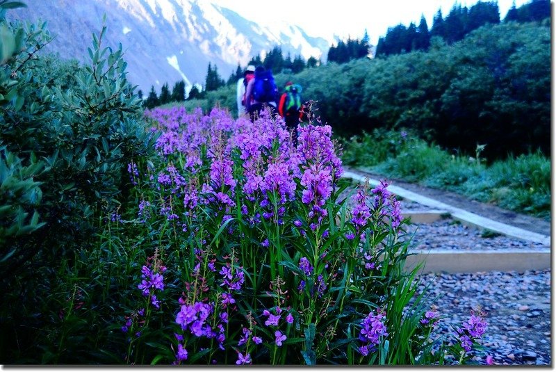 Grays Peak Trail 1