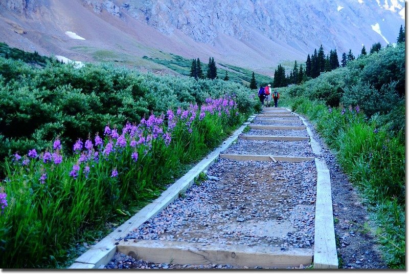 Grays Peak Trail 2