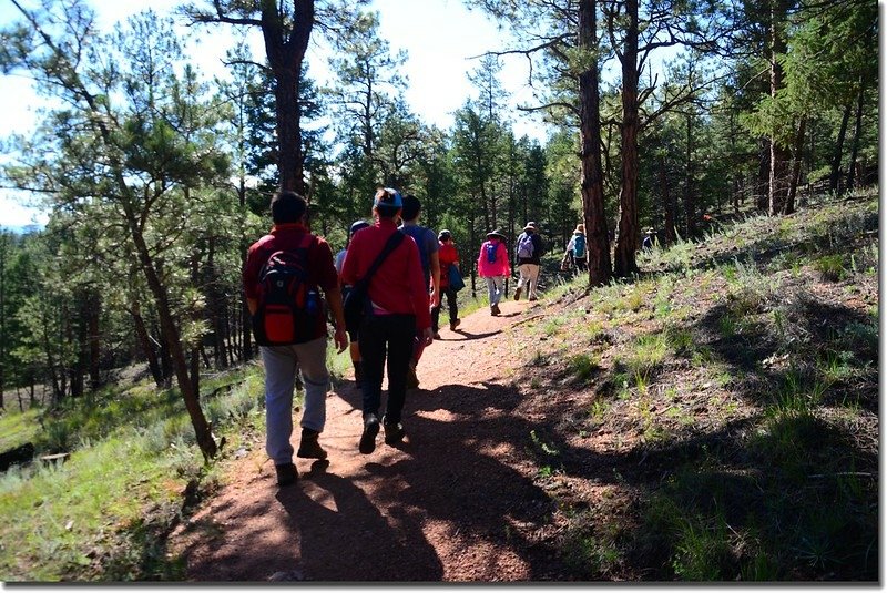 The trail winds its way through the forest, just skirting the Hayman Fire burn scar 1