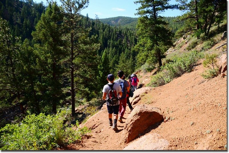 The Gill trail along the slopes of Cheesman Canyon (2)