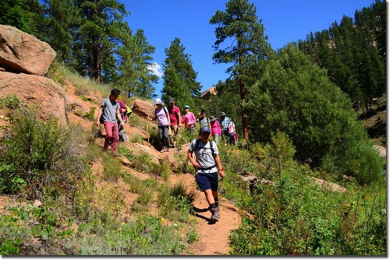 The Gill trail along the slopes of Cheesman Canyon (8)