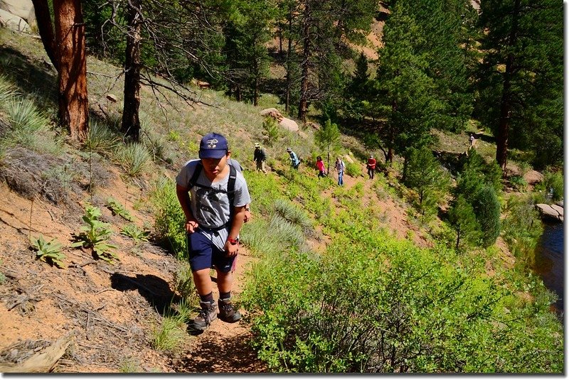 The Gill trail along the slopes of Cheesman Canyon (7)