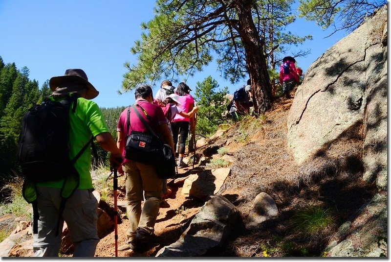 The Gill trail along the slopes of Cheesman Canyon (5)