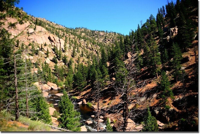 A view from the trail above the river (5)